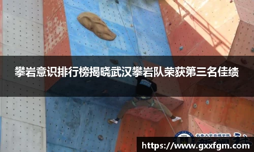 攀岩意识排行榜揭晓武汉攀岩队荣获第三名佳绩